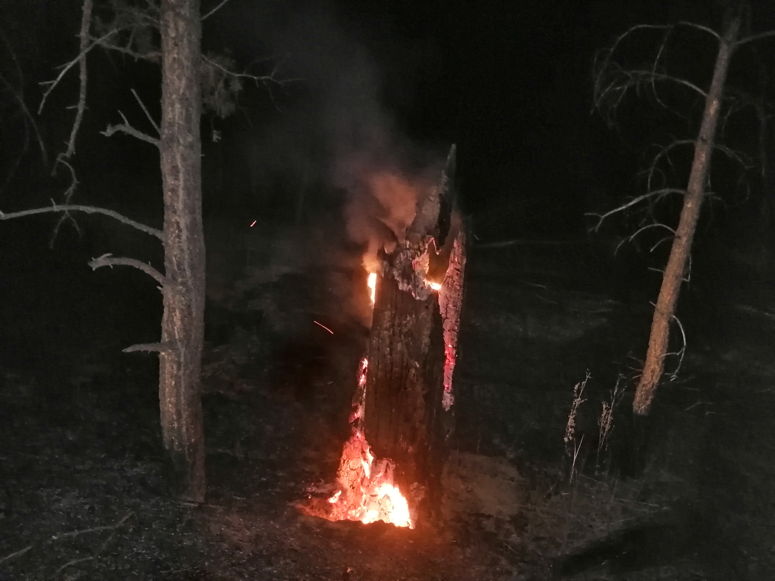 "Вечорка" нашла горящий пенек под Курортом Дарасун. 19 марта