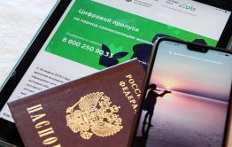 Цифровые пропуска отменены в Забайкалье