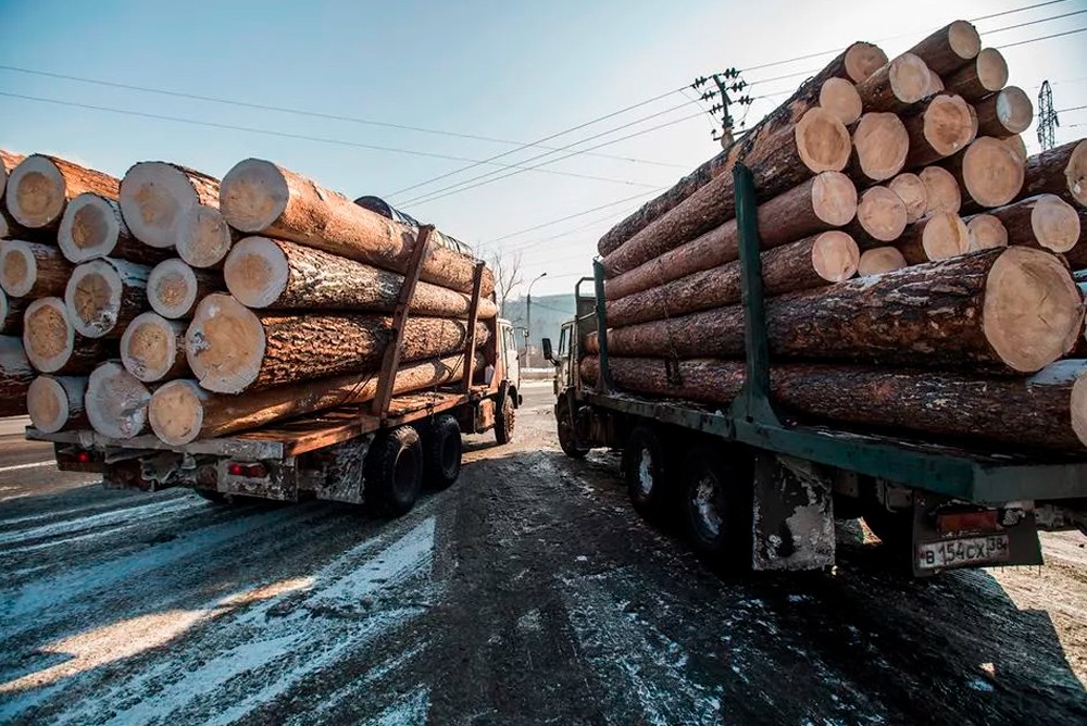 212 млн рублей взысканы с забайкальца за контрабанду леса 