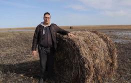 Почему налог вырос только для пенсионеров и кто вернет деньги за мясо