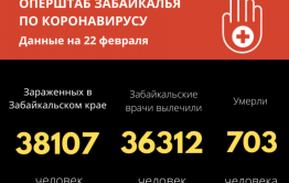 Число зараженных COVID-19 забайкальцев за весь период составило больше 38 тысяч