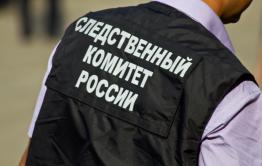 Следователи проверят информацию СМИ о бездомной женщине из Борзинского района