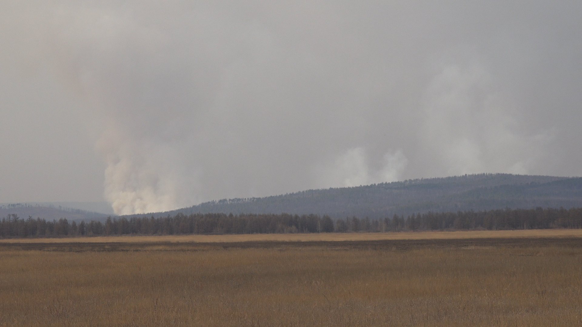 В районе Беклемишево продолжает гореть лес
