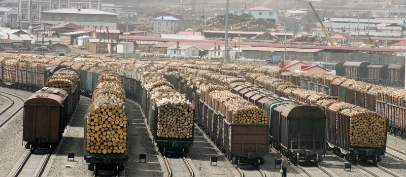 Забайкалка просит Путина запретить вырубку и вывоз леса в Китай