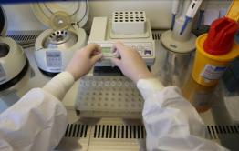 Число заболевших COVID-19 забайкальцев превысило 185 тысяч