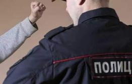 Пьяные читинки набросились на сотрудников полиции