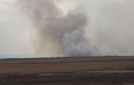 ​Более 50 человек тушат лесной пожар около Беклимишево