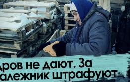 Дрова. Валежник. Штраф