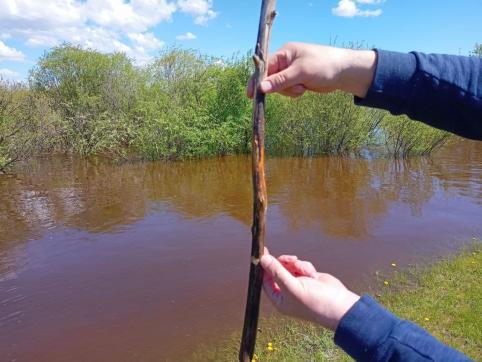 Журналисты «Вечорки» измерили уровень воды в Нерче: успокаиваться пока рано