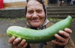 Шок: огурцы в Забайкалье подешевели за неделю на 2%. Читатели «Вечорки» не верят, доктор Попов по-прежнему рекомендует смачивать их слюной и вставлять в задний проход.