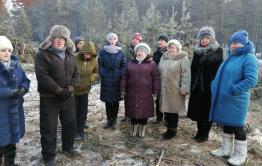 Жители Атамановки могут перекрыть федеральную трассу в знак протеста против вырубки леса