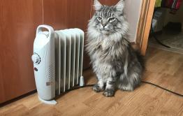 Пенсионерка из Краснокаменска пожаловалась на обогреватель