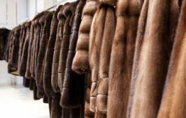 В Забайкалье мужчина украл 20 мутоновых шуб с выставки