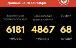 Более 80 человек заболели коронавирусом за сутки в Забайкалье 