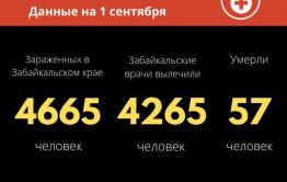 Еще 33 человека заразились коронавирусом за сутки в Забайкалье. Столько же вылечилось.