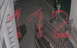 Видео убийства женщины в Царском попало на камеры (18+)