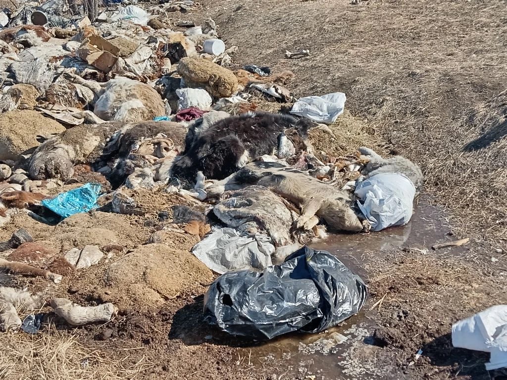 Где-то между Кией и Нерчой. Часть первая.