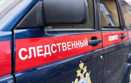 Следователи выясняют обстоятельства гибели двух мужчин в Борзинском районе