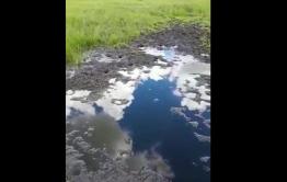 Шилкинскому фермеру отравили ручей, залив в него мазут (видео)