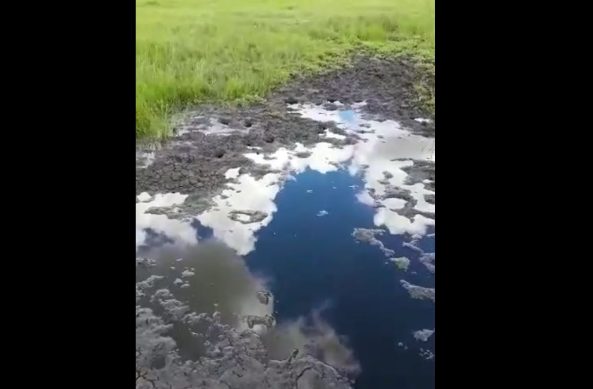 Шилкинскому фермеру отравили ручей, залив в него мазут (видео)