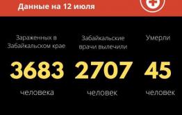 Еще один случай смерти от коронавируса зафиксировали в Забайкалье