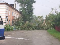 Штормовой ветер повалил деревья в Сретенском районе