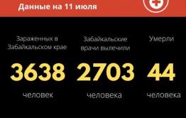 Коронавирус в Забайкалье: 43 новых случая за сутки