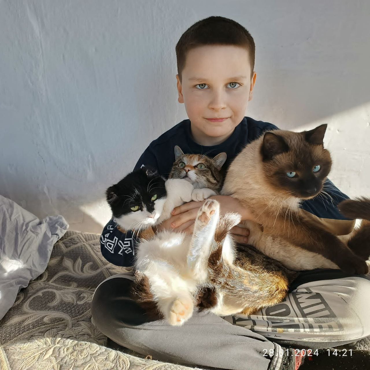 В Забайкалье мальчика наградят за спасение животных