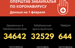 Еще почти 200 человек вылечились от коронавируса в Забайкалье