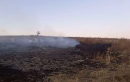 В забайкальской степи почти год горят бараньи какашки