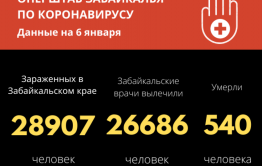 359 жителей Забайкалья вылечились от коронавируса за прошедшие сутки. Заболели – 236. 