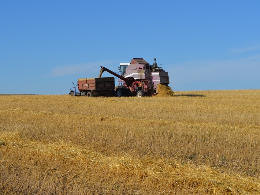Забайкальские аграрии получили на 10 тысяч тонн зерна больше, чем год назад