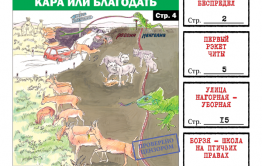 «Вечорка», № 14: Дзерены – монгольская кара или благодать