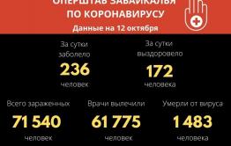 В Забайкалье выявили 236 новых случаев заражения коронавирусом за сутки