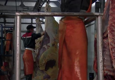 Гражданин Таджикистана пытался вывезти тонну мяса без документов из ящурной резервации в Забайкалье 