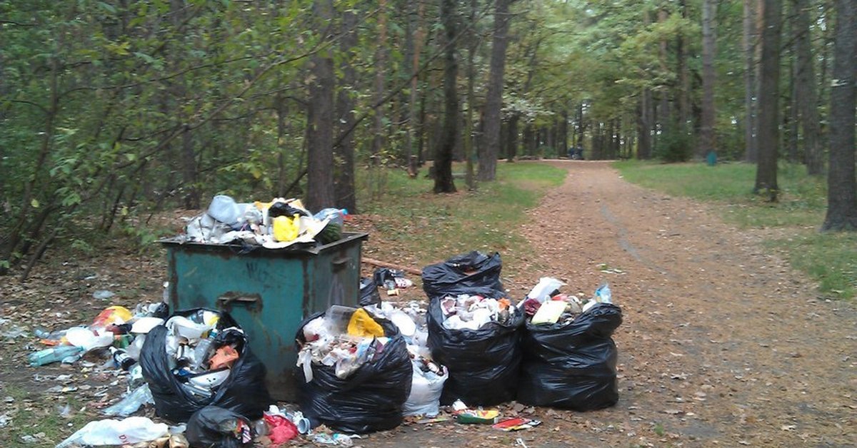 ​Читинская общественница предложила незамедлительно начать раздельный сбор мусора