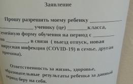 Родителям читинских школьников напомнили об альтернативной форме обучения