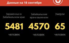 55 человек заразились коронавирусом за сутки в Забайкалье