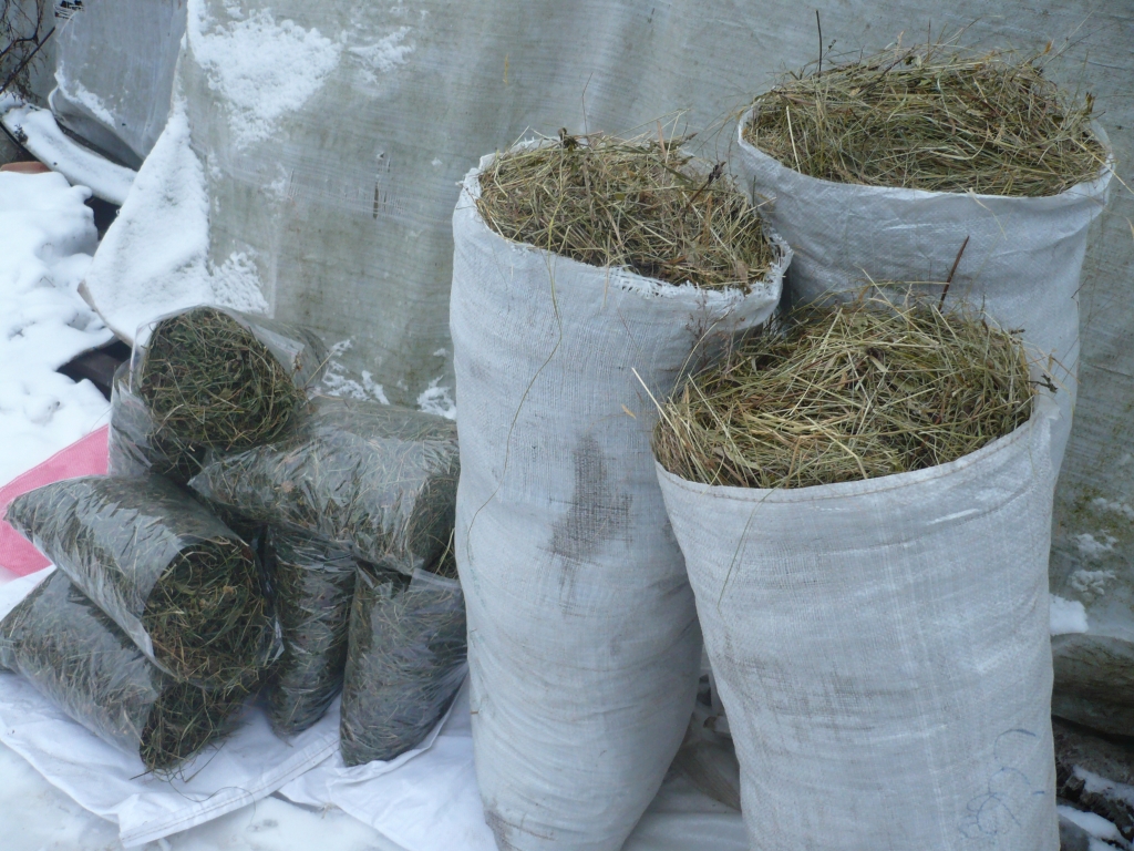 Забайкальцы пытались выдать 12 кг марихуаны за мешки с сеном