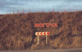 Тело бывшего замглавы Могочи нашли в лесу — он мог покончить с собой 