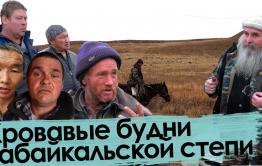 Людоеды, убийцы, потеряшки: как живут забайкальские животноводы 