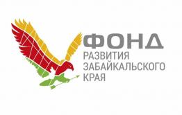 Директор Фонда развития Забайкальского края ответил на критику от СМИ и депутатов