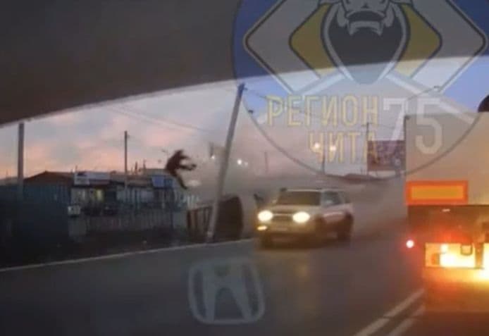 В сети появилось видео ДТП с вылетевшим в стекло водителем в Чите