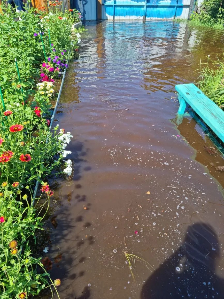 Тонем! И так из года в год.