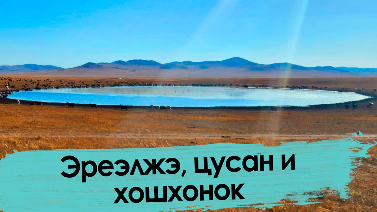 Веганы в шоке: что едят монголы в степи