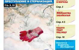 «Вечорка», № 4: Псы государевы. Преступление и стерилизация.