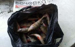 ​Закон о любительском рыболовстве вступил в силу в Новом году