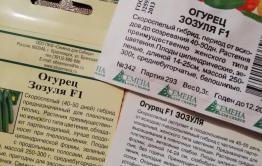 Пора огород городить