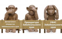 УФАС, прокуратура, департамент имущества — где скрывается их совесть?