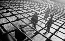 АУЕ приравняли к фашистам